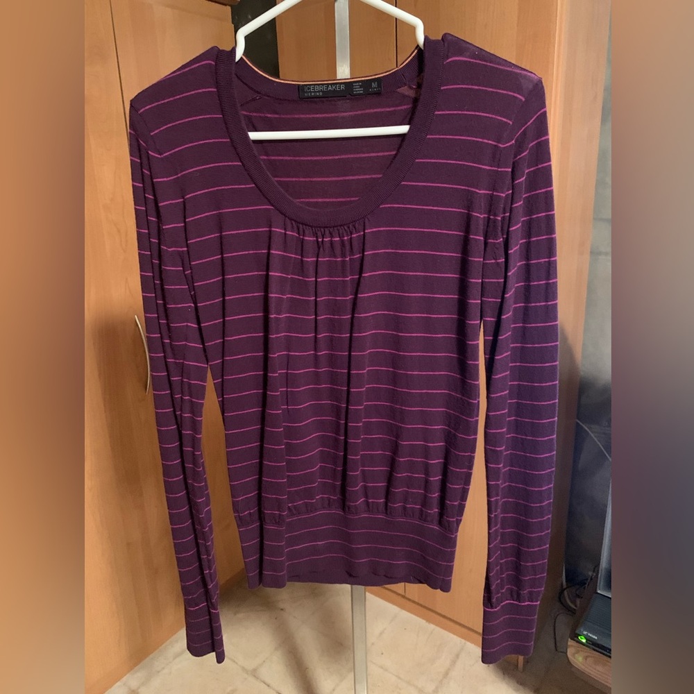 Icebreaker Women's Plum and Pink Striped Long Sleeve Top